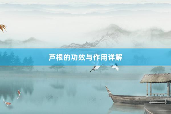 芦根的功效与作用详解