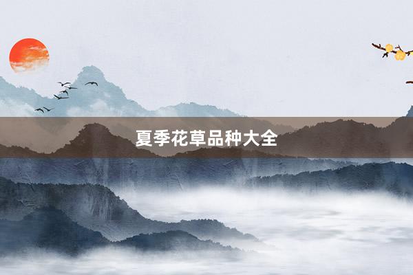 夏季花草品种大全