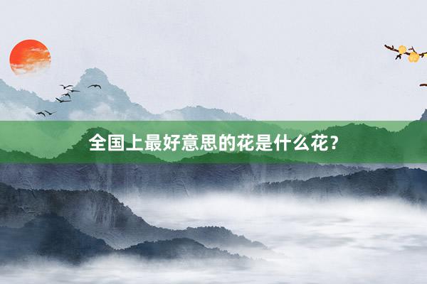 全国上最好意思的花是什么花？
