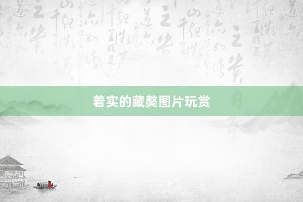 着实的藏獒图片玩赏